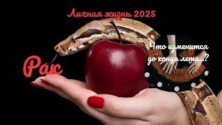 ️️РАК️ЛИЧНАЯ ЖИЗНЬ ДО КОНЦА ЛЕТА КАК ИЗМЕНИТСЯ ВАША ЖИЗНЬ..? ПЕРЕМЕНЫПРОГНОЗ Tarò Ispirazione