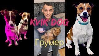 Kvik DoG «Грумер»