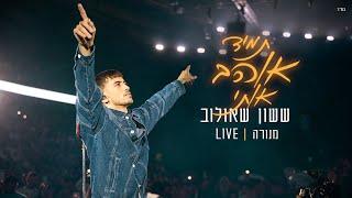 ששון איפרם שאולוב- תמיד אוהב אותי מתוך מנורה Live 2024