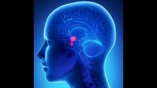 Sheehan Syndrome