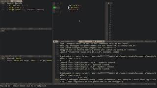 My neovim workflow for coding | (Advanced vim)