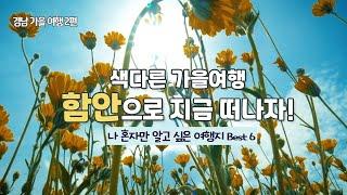 [경남 가을여행] 늦가을 특별한 경험을 하고 싶다면 경남 함안으로 떠나보세요. 경남 가을여행지 Best6 소개합니다