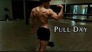Pull Day Vlog | Trying Sumo for the First Time(I think I’m David Laid)