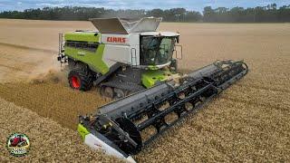 Claas Lexion Combines Harvesting Wheat