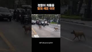 경찰이 차들을 멈춰 세운 이유
