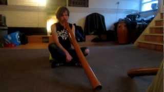 Fast  Didgeridoo Wobble Lies Beijerinck at the WMSA