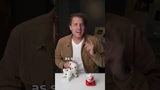 What Makes You Happy?