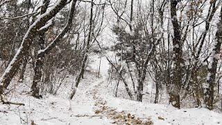 낙엽 쌓인 눈 덮인 산길 눈 내리는 소리.