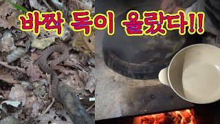 국물이 쌔까맣다! 시골 아재들의 가을철 진땡 보양식~!! / I found something incredible in the mountains.