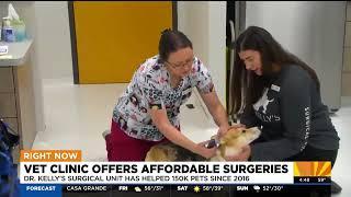 KTVK Channel 3 | Vet Clinic Offers Affordable Surgeries