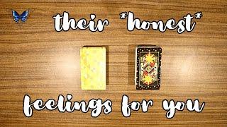 ️‍️‍🩹 *NC* THEIR *HONEST* FEELINGS ABOUT YOU RIGHT NOW  *pick a card* Timeless Tarot Reading 