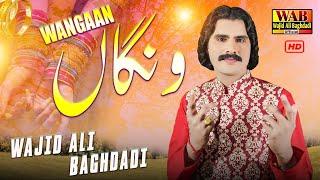 Wajid Ali Baghdadi (WANGAN) 2022 | Wajid Ali Baghdadi New Latest Song | Wajid Ali Baghdadi Official