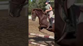 I legged and she said oh crap. #horse #equestrianshow #equestrian #horseshow #horselife