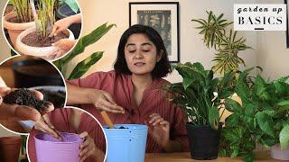 New plant parent? Top must knows for you | Garden Up Basics Ep.34