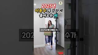 2025년 이동수가 강하게 들어오는 띠 #풍수 #풍수인테리어 #띠운세 #사주