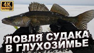 ЛОВЛЯ СУДАКА В ГЛУХОЗИМЬЕ. Рыбалка на Рыбинском водохранилище