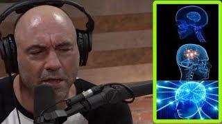 Joe Rogan on How to Be a Smarter Person