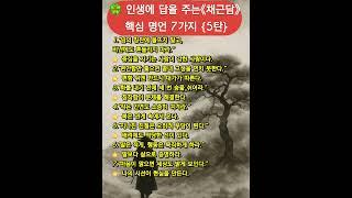 #채근담 #동양명언 #삶의지혜 #고전의힘 #인생명언 #평온한삶 #채근담명언 #고전공부