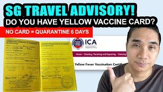 Yellow Fever Vaccination Certificate   Singapore | Do you need a Yellow Fever Jab?