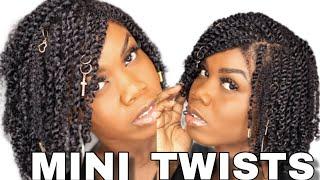 mini twists on natural hair | easy protective style