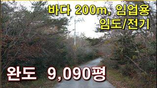 완도임야  9,090평 / 해변에서 200m,  임도와 전기접한 싼 임야 / 임업용 / 바다낚시