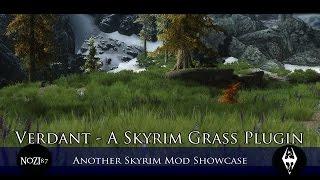 TES V - Skyrim Mods: Verdant - A Skyrim Grass Plugin by Preeum