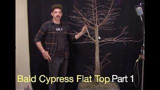 Flat Top Bald Cypress Design Part 1