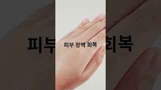 천연라이브 정제청대밤 스틱형 30g,50g 가려움개선 임상완료 #shorts