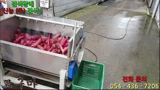고구마 세척 영상 SN-2000C