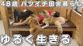 田舎で暮らす４８歳バツイチおじさんは炒飯ばかり食べてるみたい