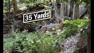 How to Judge Distance for Bowhunting and 3-D Archery