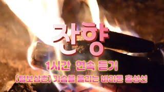[털보삼촌] 불멍과 함께 한국가곡 잔향 1시간 연속 듣기 가슴을 울리는 바리톤 홍성선 