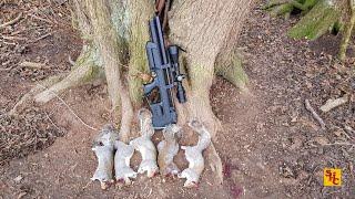 Pest Control with Air Rifles - Squirrel Shooting - Ted's