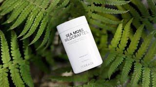 Raw Wild-crafted Irish Sea Moss - Bladderwrack - Burdock - Spirulina - Black Pepper - Codeage