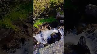 #гори #mountains #карпати #travel #nature