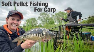 Soft Pellet Fishing For Carp - Kiveton Waters