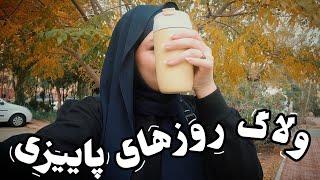 Daily |از تمرین برای مصاحبه تا چیدن کافی بار🪵