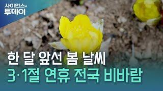 "벌써 봄?" 설악산 복수초 '활짝'...연휴엔 비바람·폭설 / YTN 사이언스