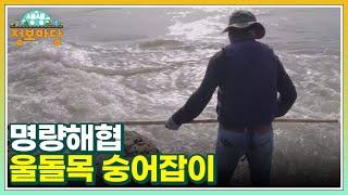 명량해협 울돌목 숭어잡이 MBN 230426 방송