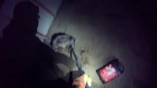 Raccoon Removal from Dayton OH Shed using Catch Pole