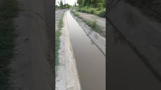 My Cute  Water Canal 
