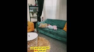 يوميات ميمي ستارز