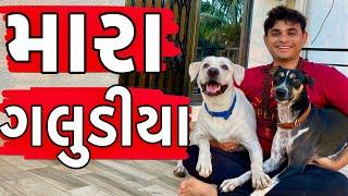 મારા ગલુડીયા । Khajur Bhai VLOGS | Jigli and Khajur Vlogs |Travel Vlogger |Gujarati VLOG |Nitin Jani