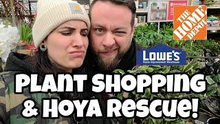 Plant Shopping & Hoya Rescue!!  repot with me  Home Depot + Lowe's in Littleton, NH