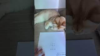 누룽지와 유튜브 계약