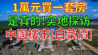 1萬元買一套房是真的!中國樓市“白菜價”,房產仲介說:現在南方人委託買房多,一天20幾個,直接交款買房不墨跡!“深圳買一套房1千萬,這個地方卻200多元一平方,馬雲預言的[房價如蔥]真的來了嗎?