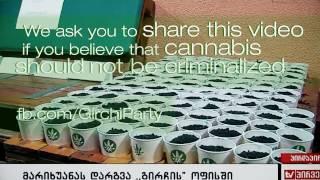 The Georgian Political Party 'Girchi' Plants Cannabis