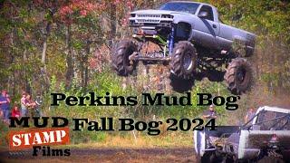 Perkins Fall Bog 2024