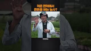 적은 면적에서 큰돈을 버는 농사요? #세종식물원