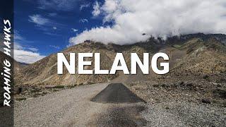 Nelang (Nelong) Valley – An adventure video log by Roaming Hawks